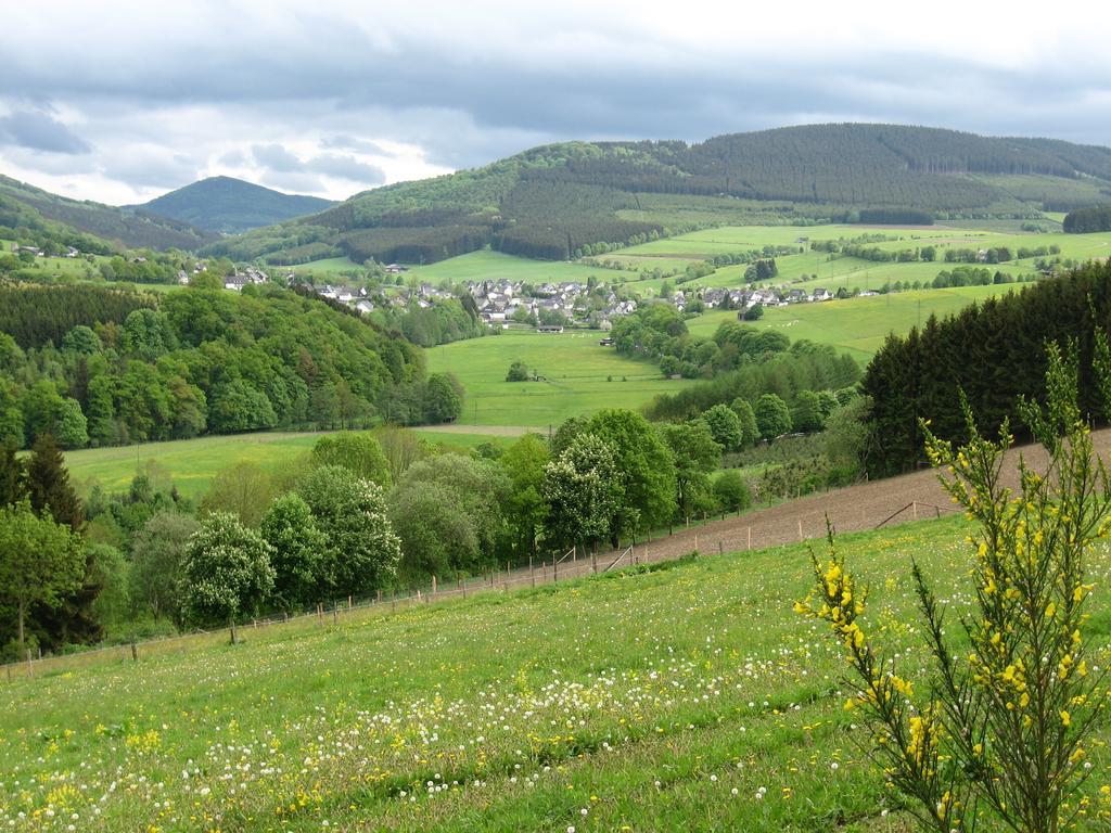 Ferienwohnung Moos-Hochsauerland Wiemeringhausen Habitación foto