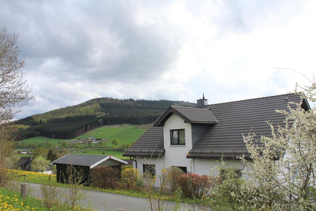 Ferienwohnung Moos-Hochsauerland Wiemeringhausen Habitación foto